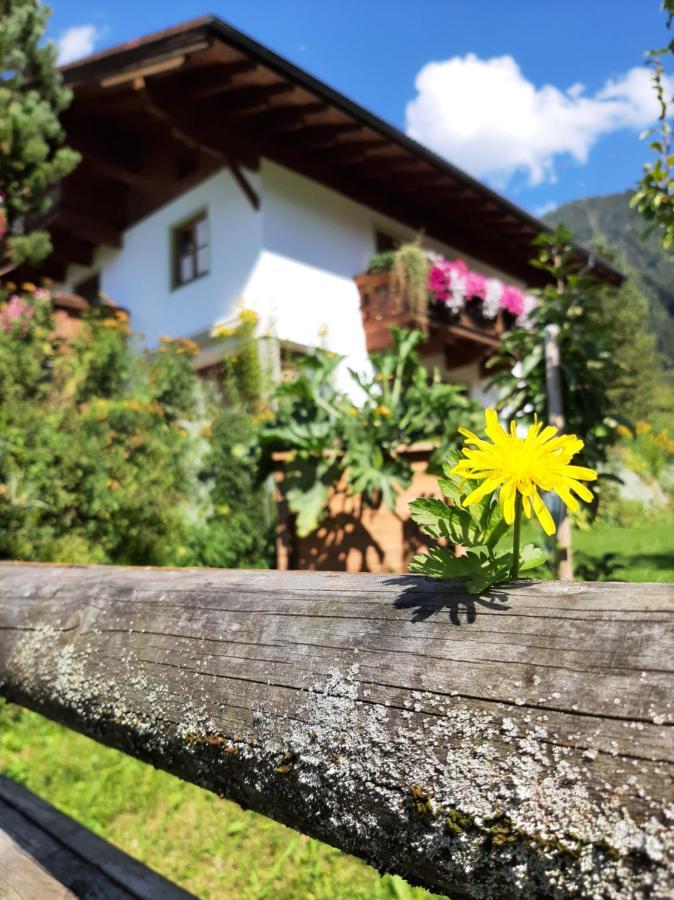 Apartament Vierthaler Werfenweng